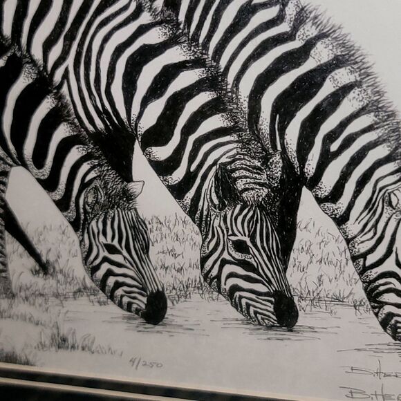 Original Lithograph in Pen & Ink, Zebras Drinking Signed Limited Edition #4/250 - Picture 14 of 16